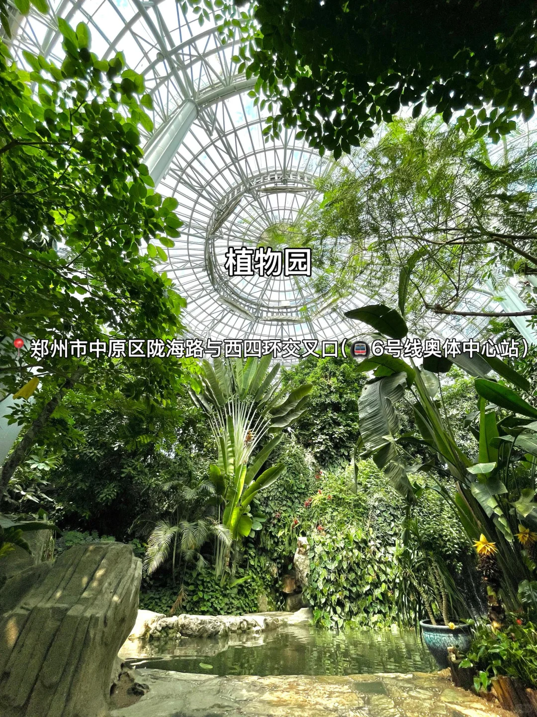 8-9🈷️来郑州玩！别怪我没提前告诉你…