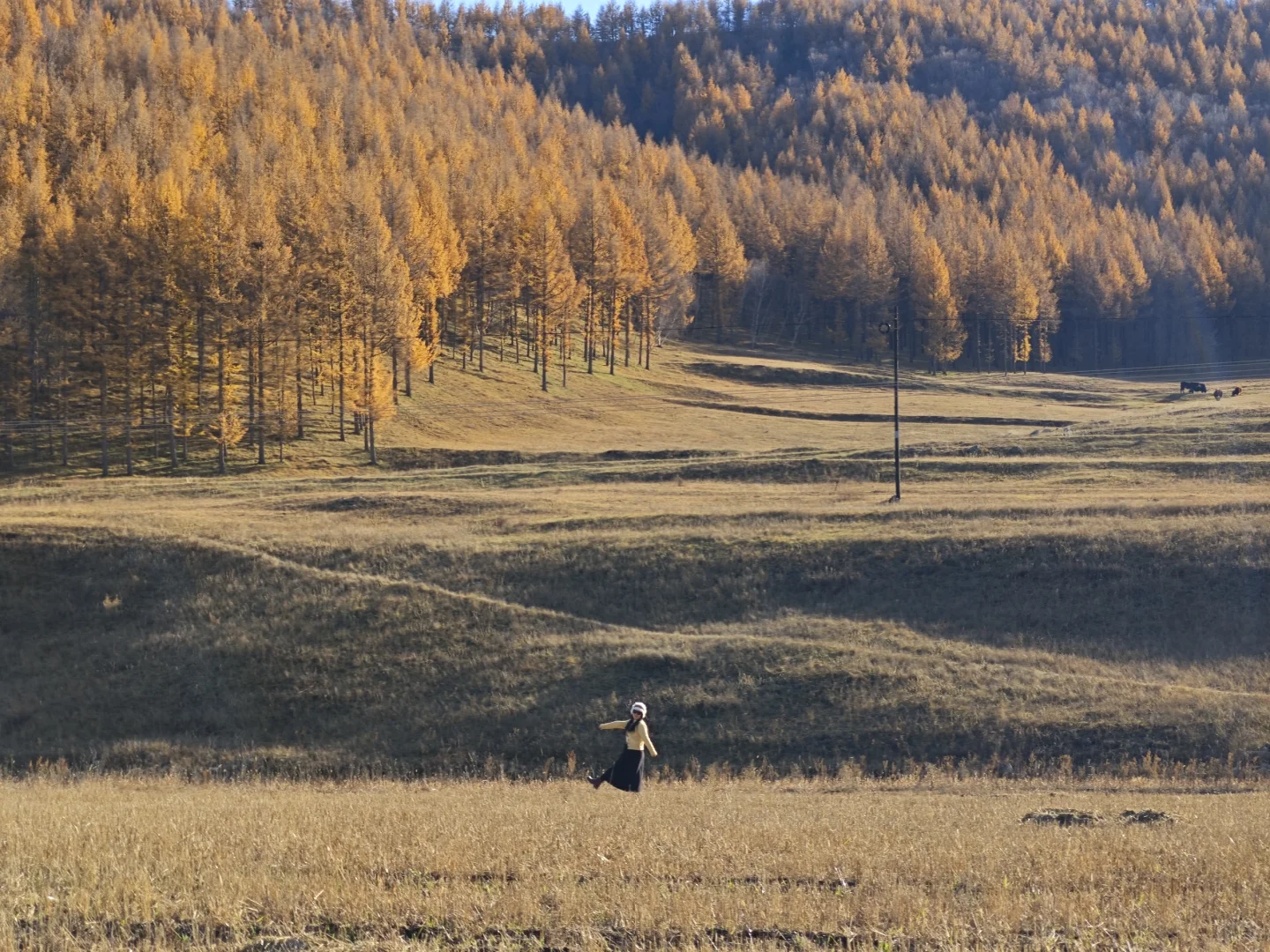 呼市周边赏秋这几个地方一定要去！！！
