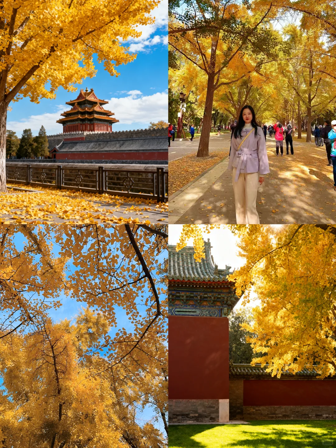 北平之秋旅游攻略📍一篇搞定所有点位