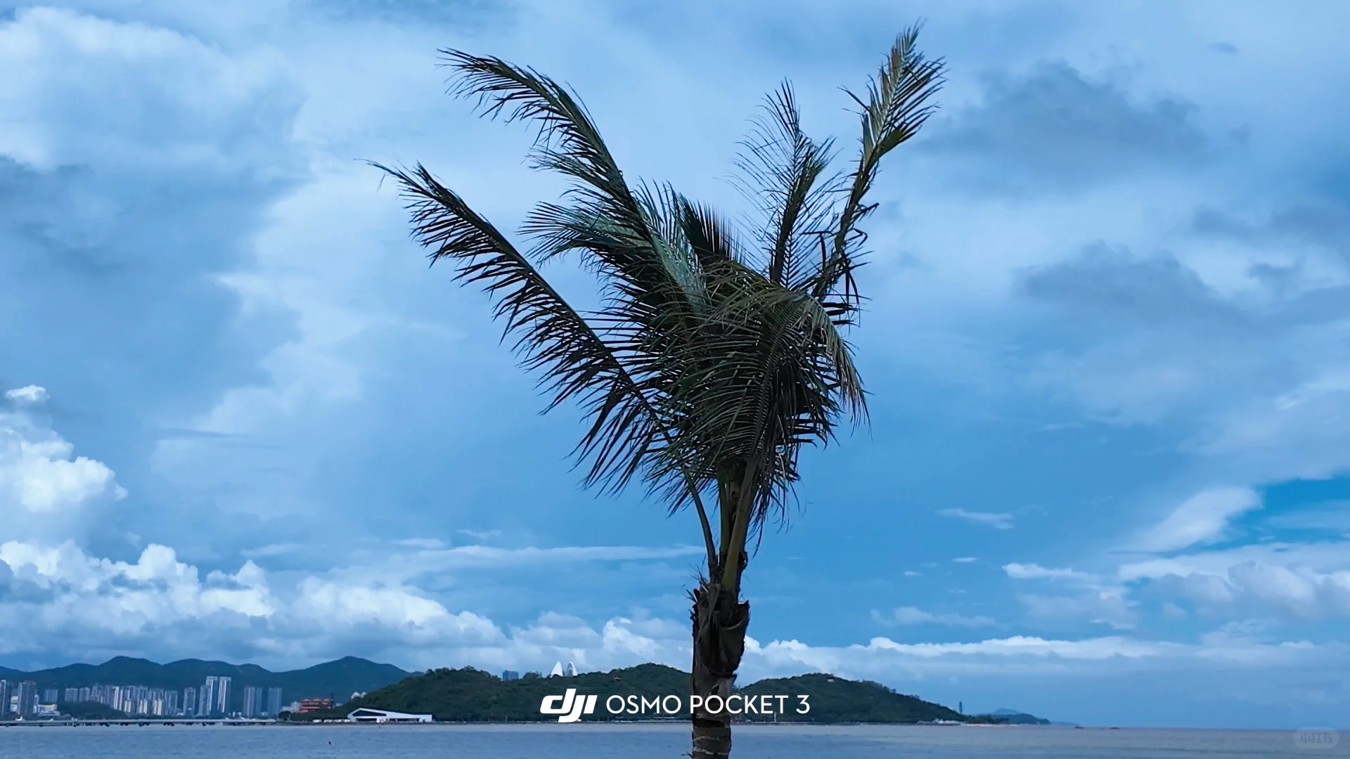 珠海 | 情侣路一日游·赶时间又想全玩必看