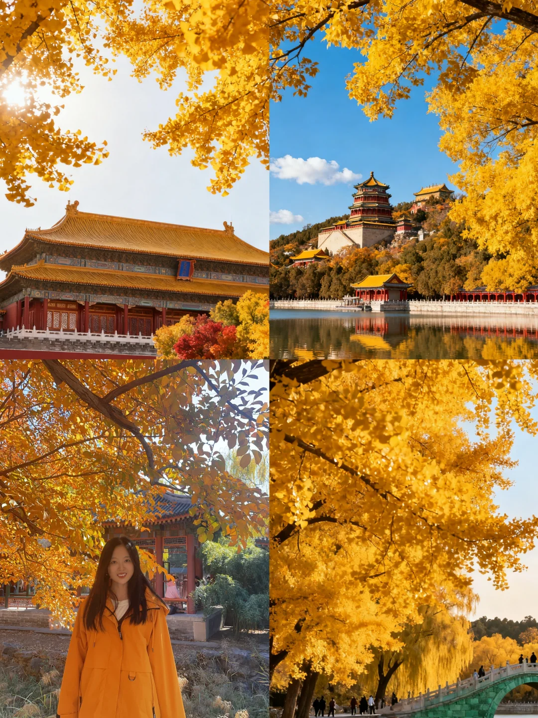 北平之秋旅游攻略📍一篇搞定所有点位