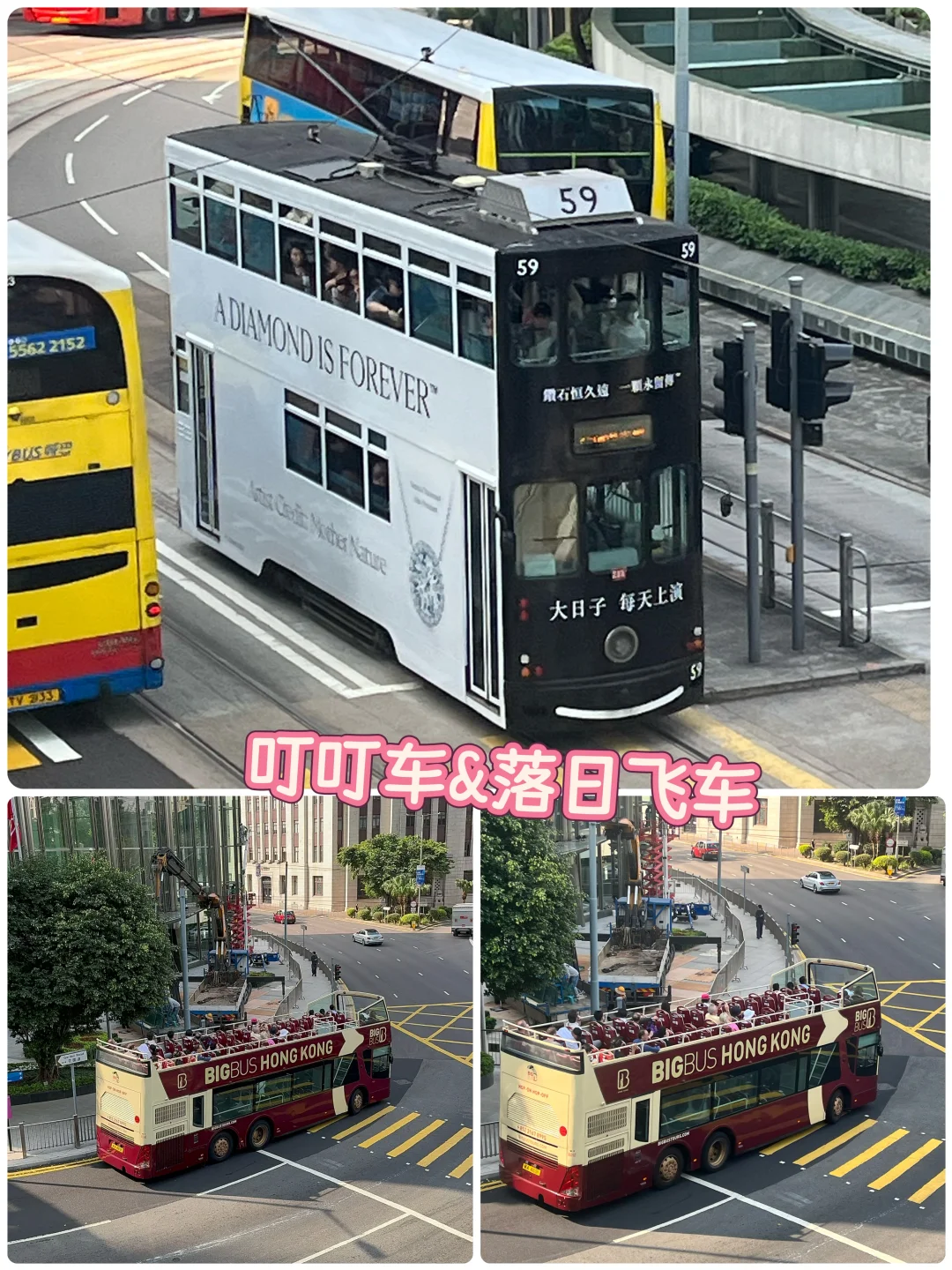 🇭🇰香港一日游攻略