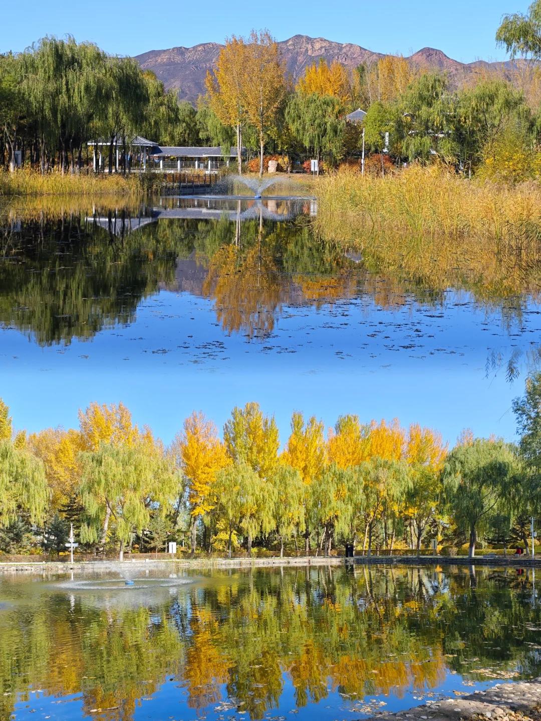 呼市周边赏秋这几个地方一定要去！！！