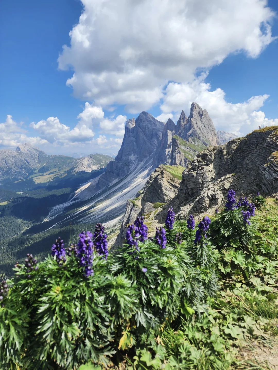 多洛米蒂｜上帝遗留在阿尔卑斯的后花园⛰️