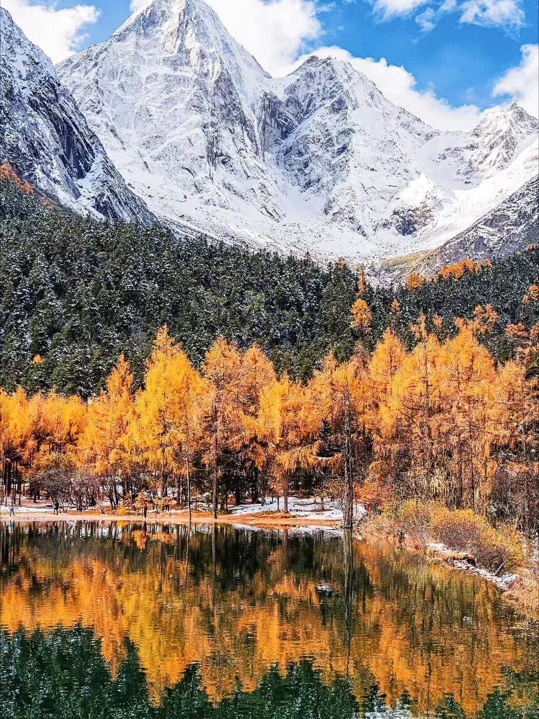 接下来的九寨沟,彩林进入封神期!一年仅30天