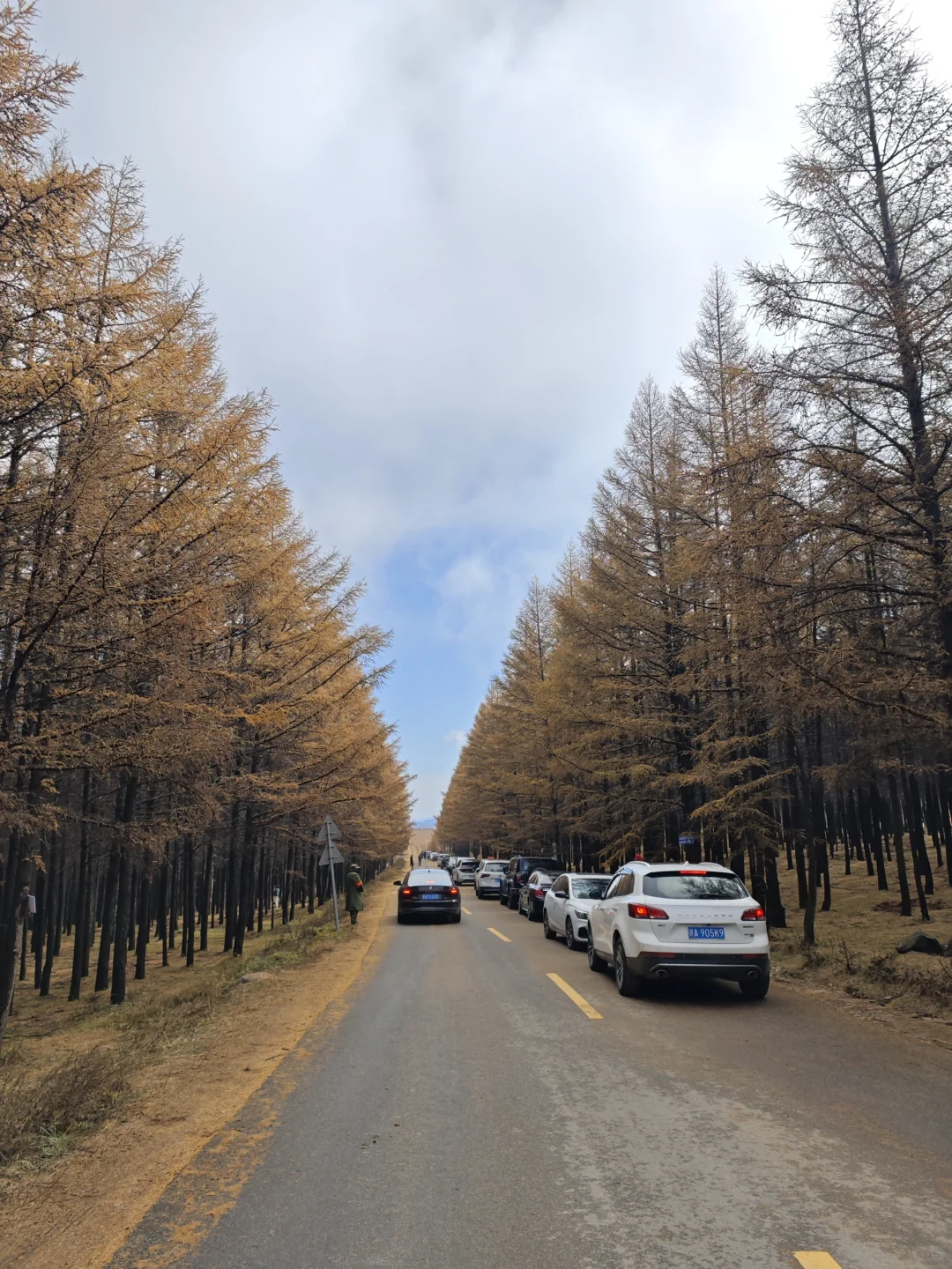 呼市周边赏秋这几个地方一定要去！！！