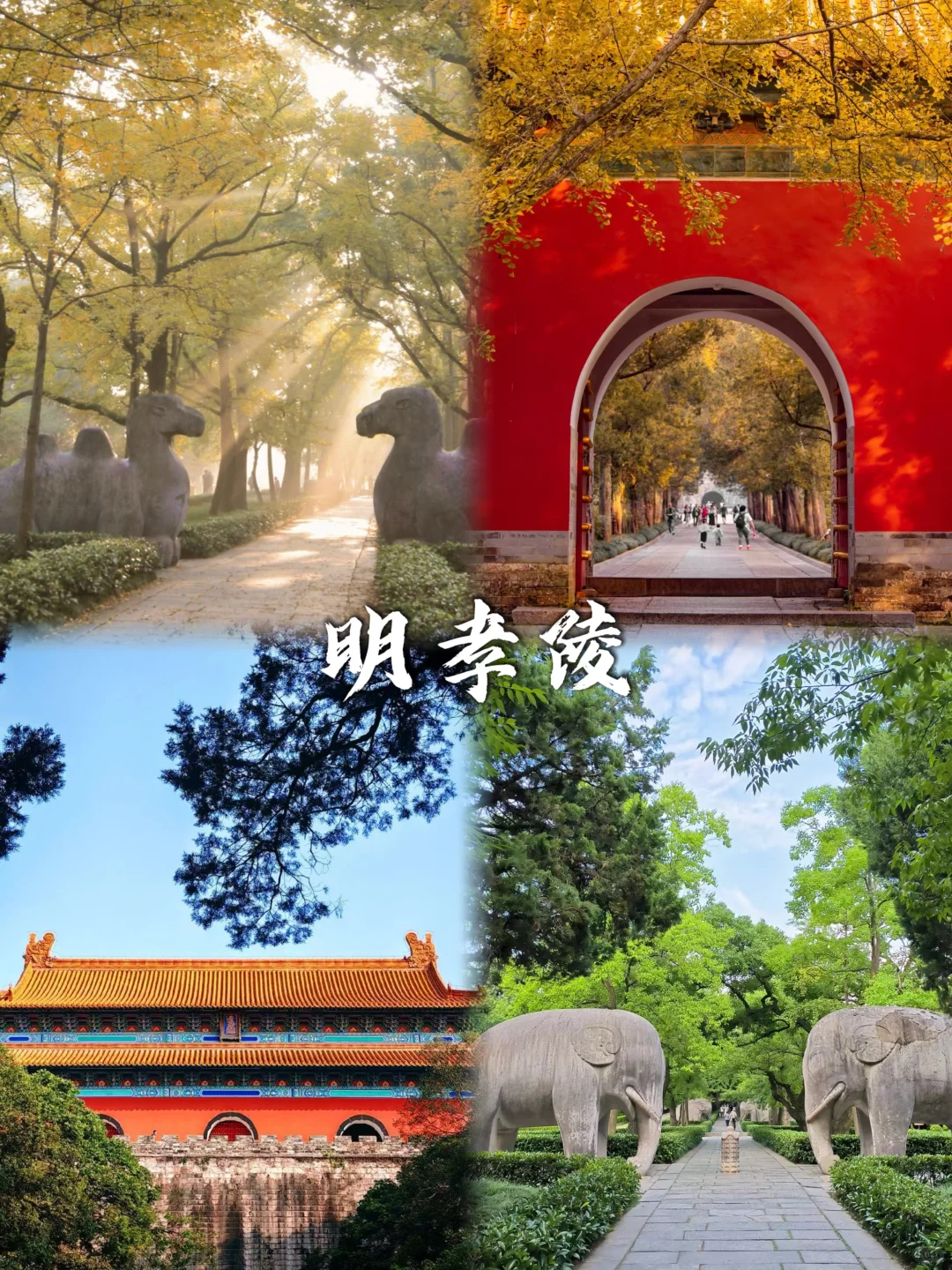 人均500💰南京超详细吃住行攻略📝直接抄