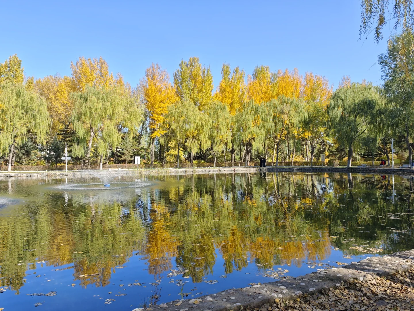 呼市周边赏秋这几个地方一定要去！！！