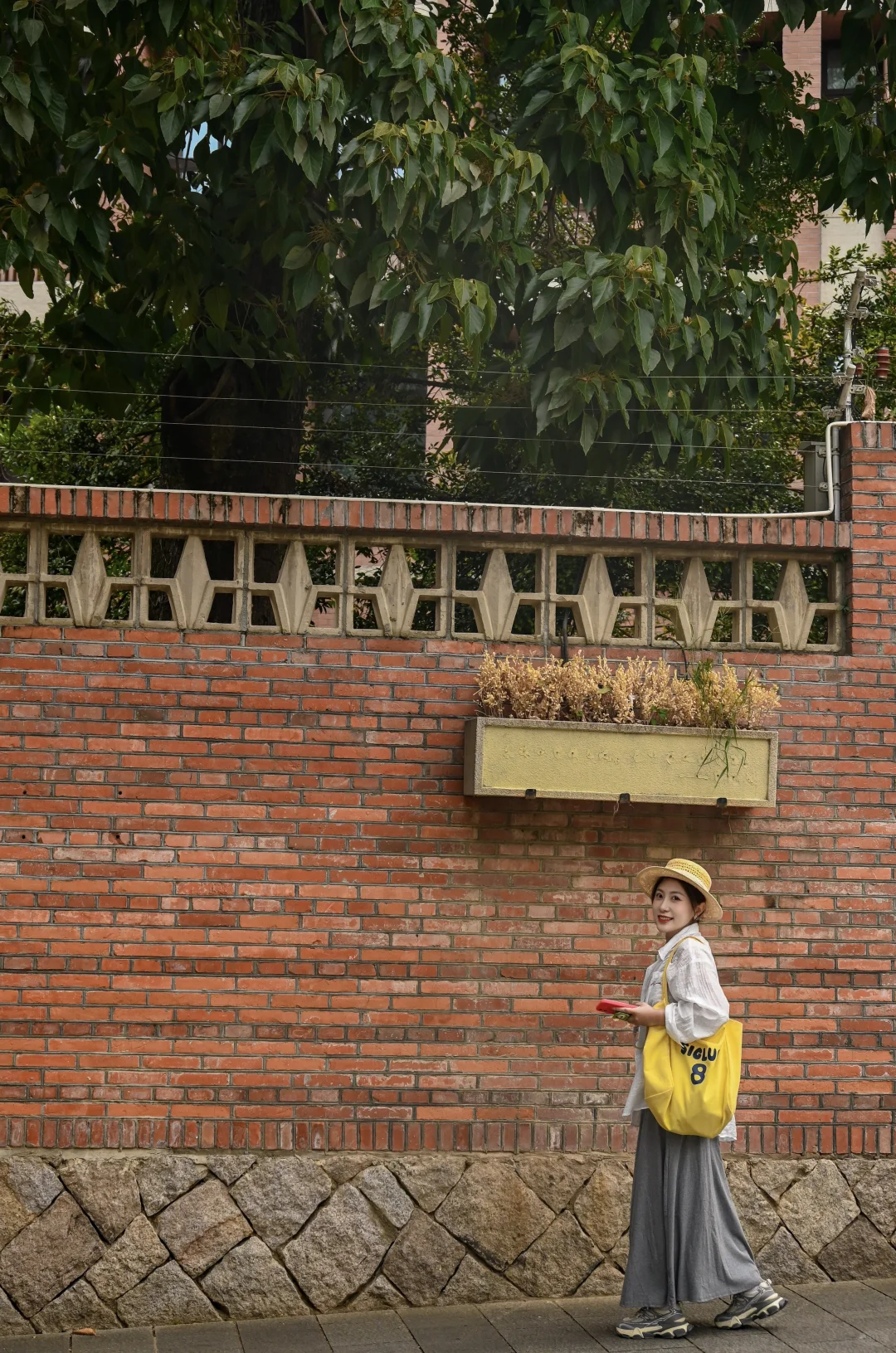 我宣布这是福州zui 舒服的citywalk路线‼️