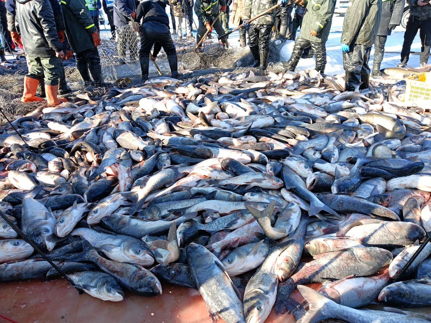 2025松原九大旅游景点最新攻略