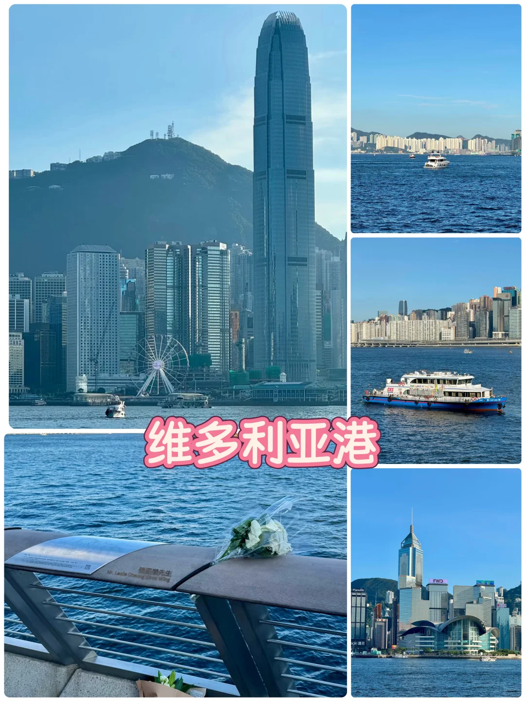 🇭🇰香港一日游攻略