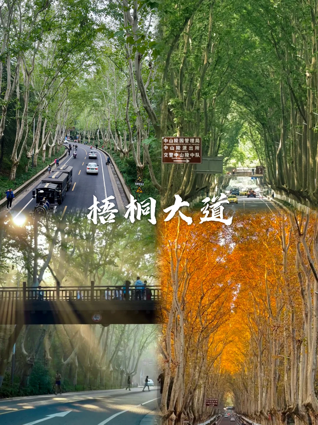 人均500💰南京超详细吃住行攻略📝直接抄