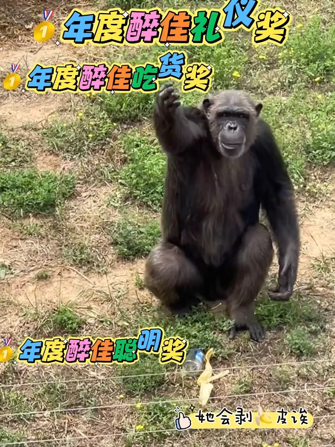 石家庄动物园｜这里开心就像呼吸一样简单‼️