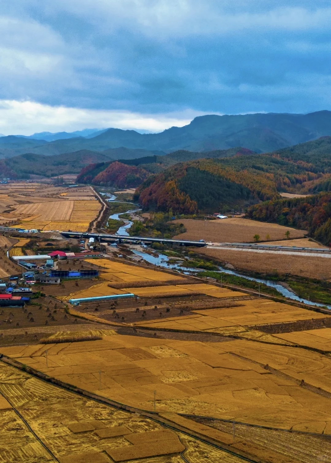 北京出发,这万山火红才是秋日绝色