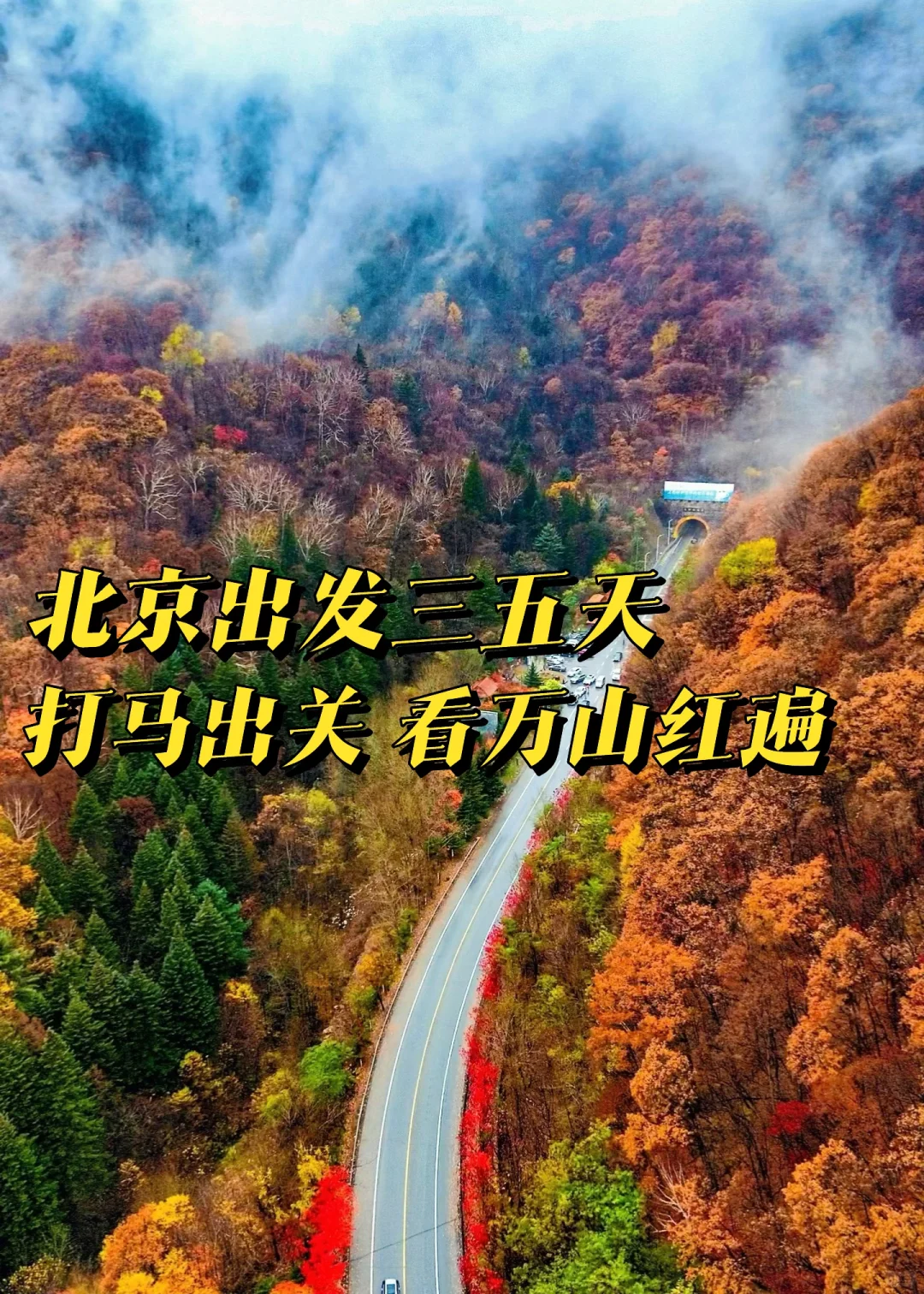 北京出发,这万山火红才是秋日绝色