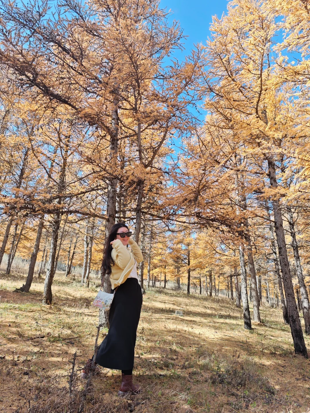 呼市周边赏秋这几个地方一定要去！！！