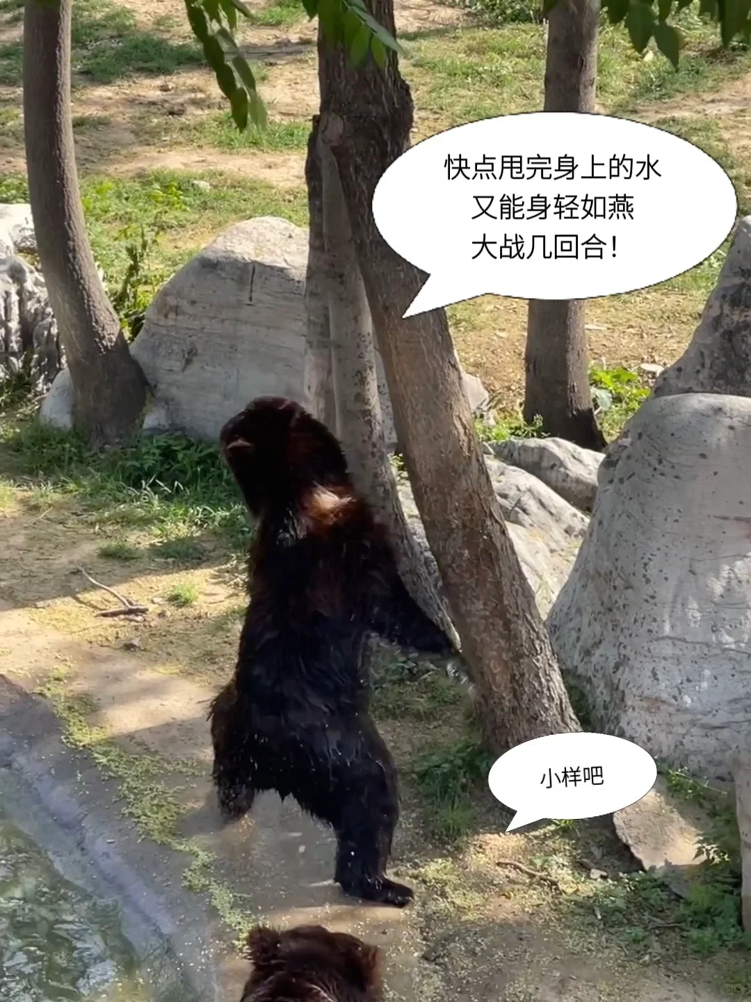 石家庄动物园｜这里开心就像呼吸一样简单‼️