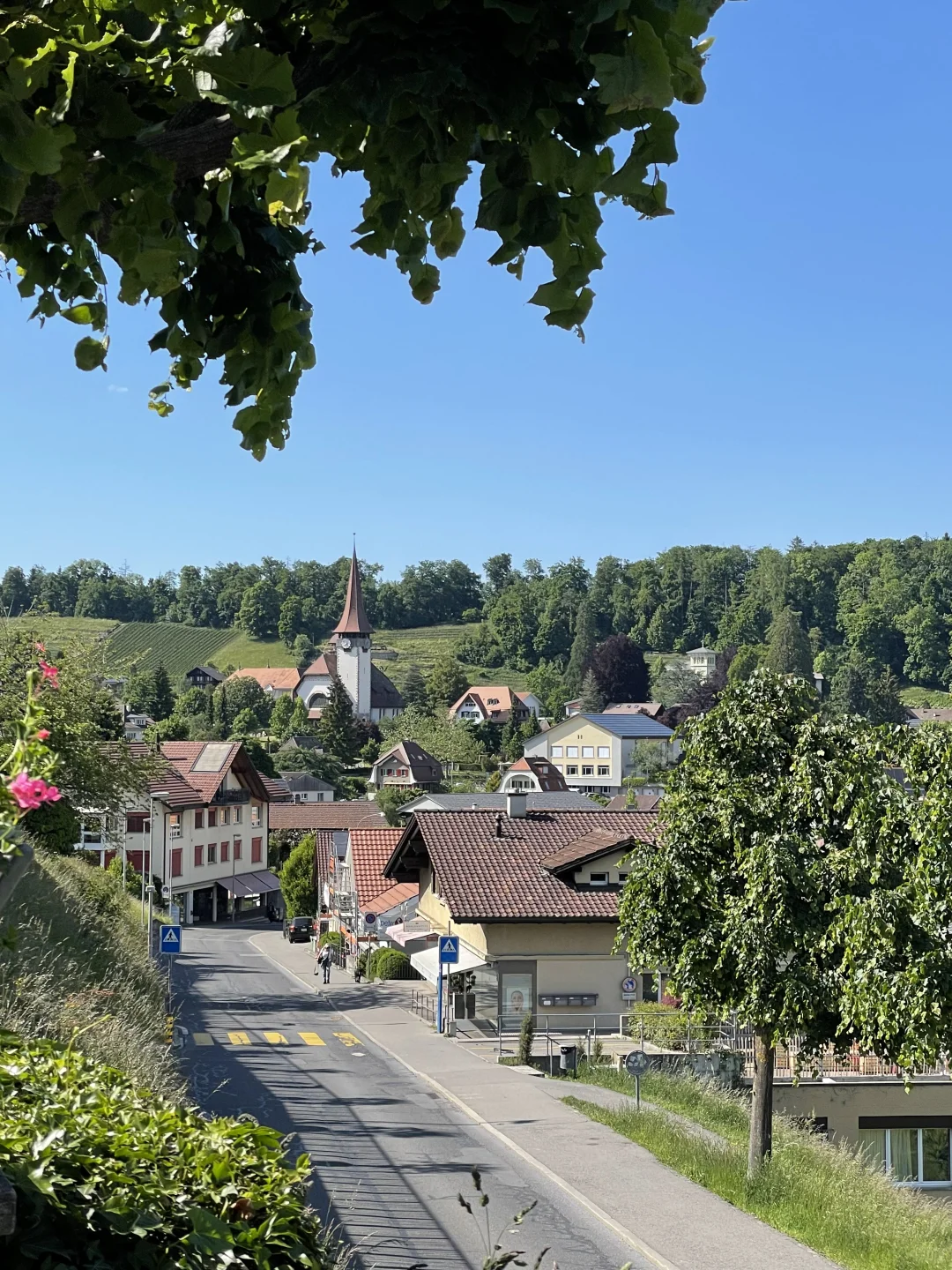 🇨🇭瑞士旅行必看|绝美景点+超实用攻略🌟