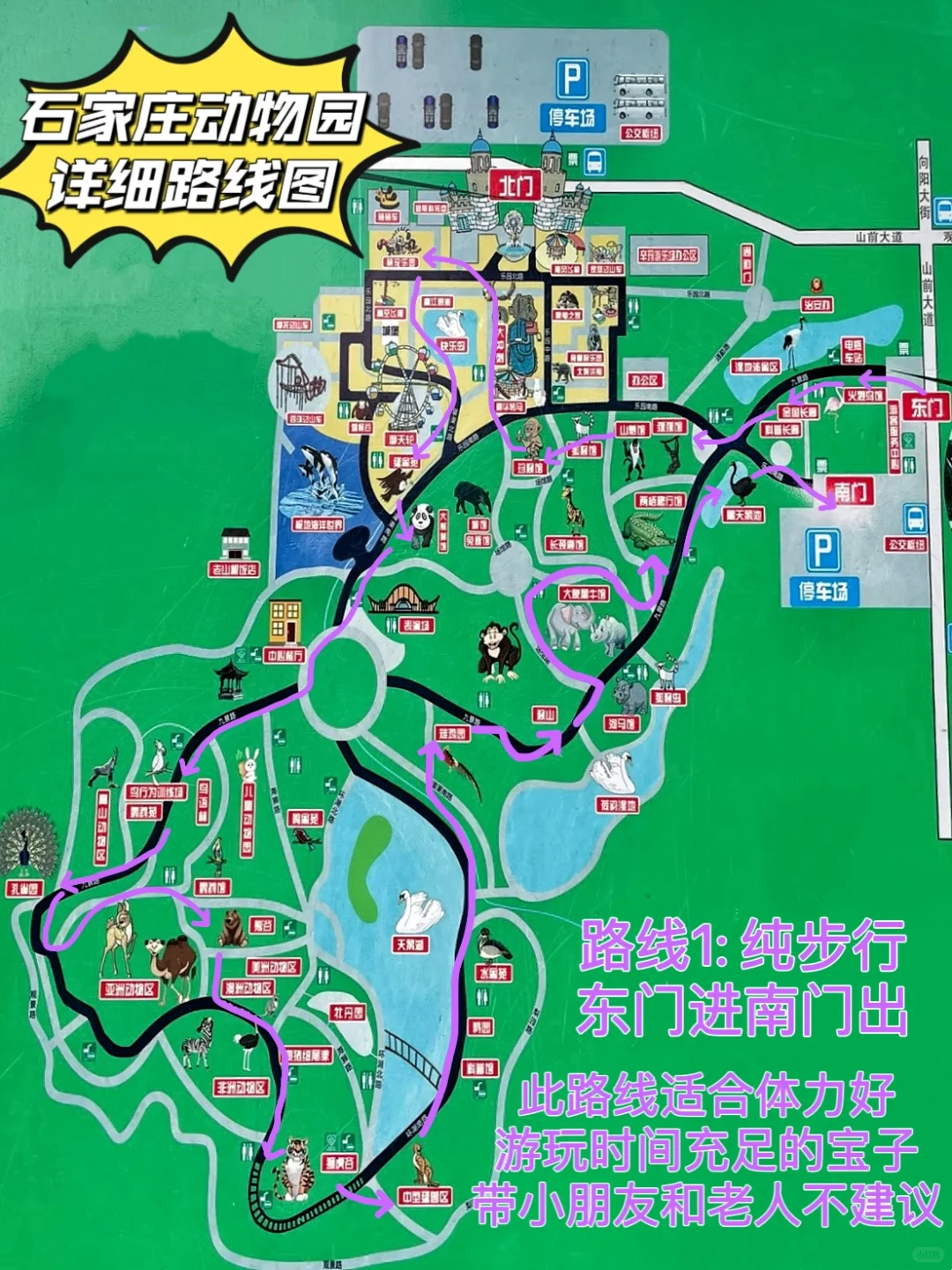 石家庄动物园｜这里开心就像呼吸一样简单‼️