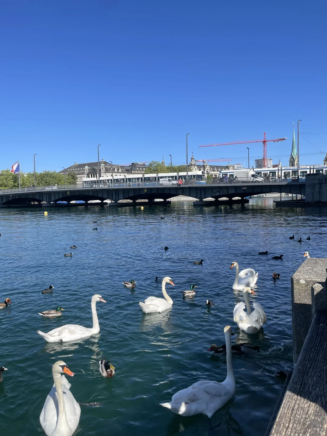 🇨🇭瑞士旅行必看|绝美景点+超实用攻略🌟