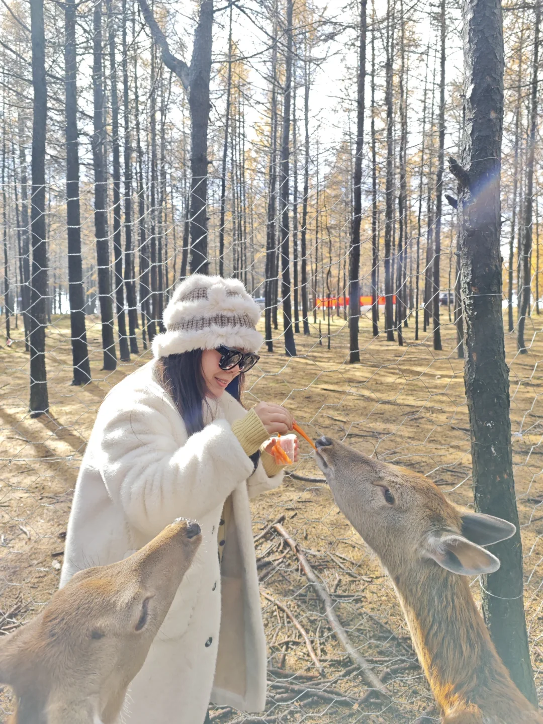 呼市周边赏秋这几个地方一定要去！！！