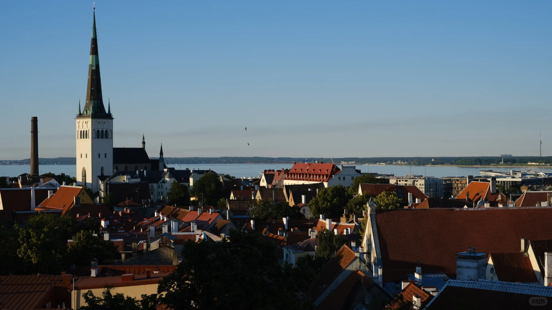 🗺️欧洲2025🌍找旅行搭子 秋🍂冬❄️西班