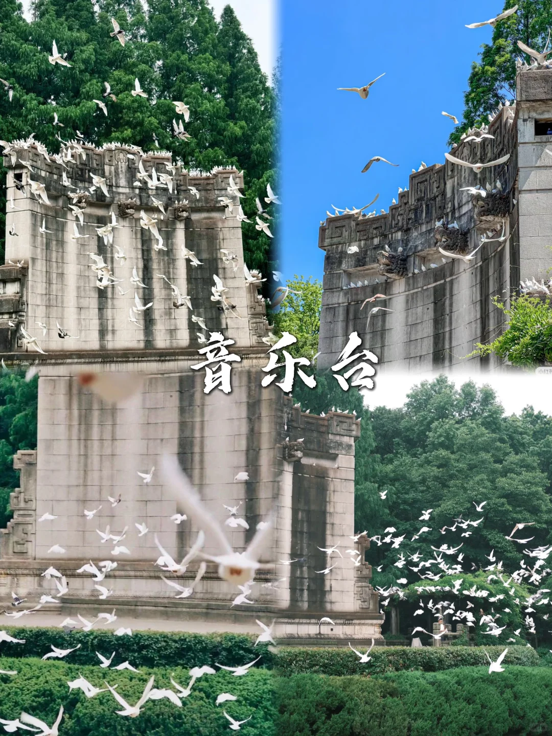 人均500💰南京超详细吃住行攻略📝直接抄