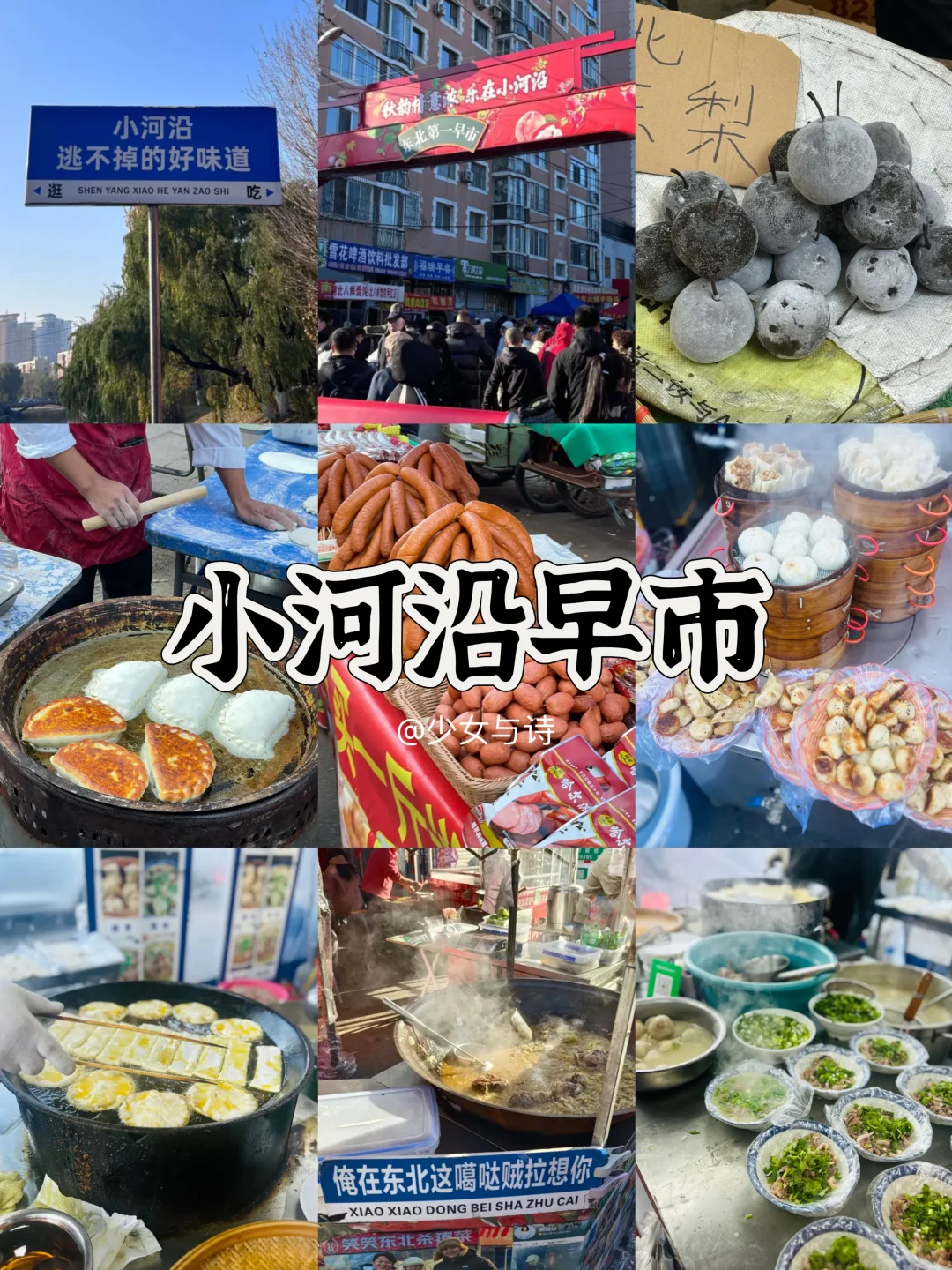 30+打工人📍沈阳一日游❗精华必走攻略🔥