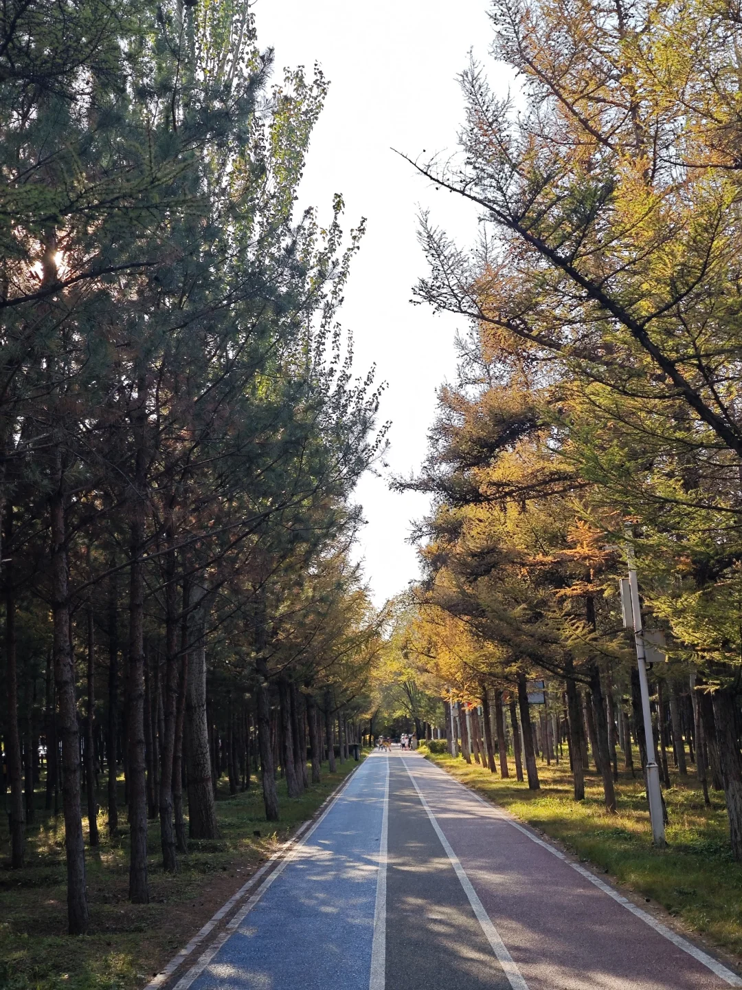 呼市周边赏秋这几个地方一定要去！！！