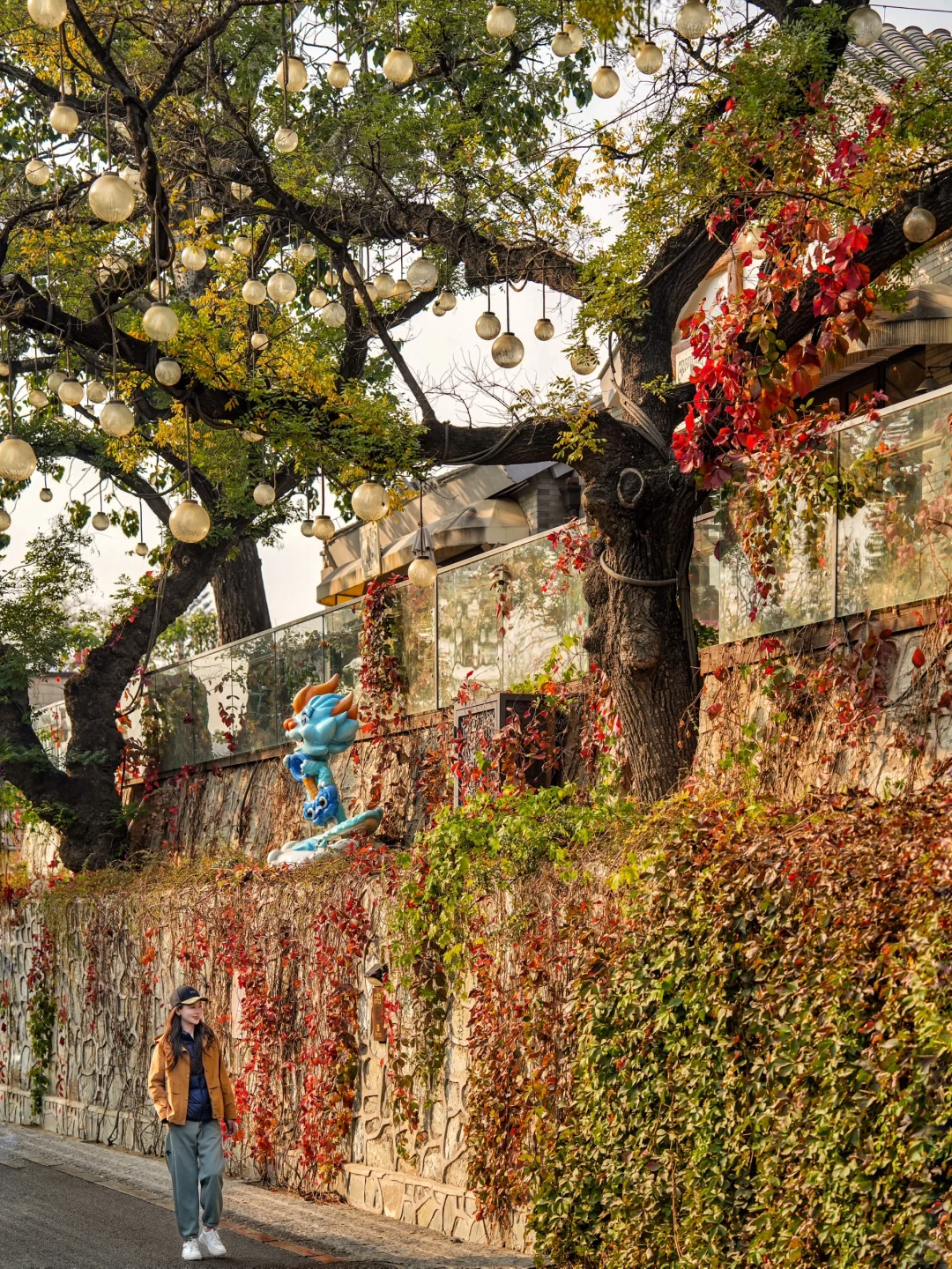 📍北京｜适合一个人逛一下午的地方 (5/100)