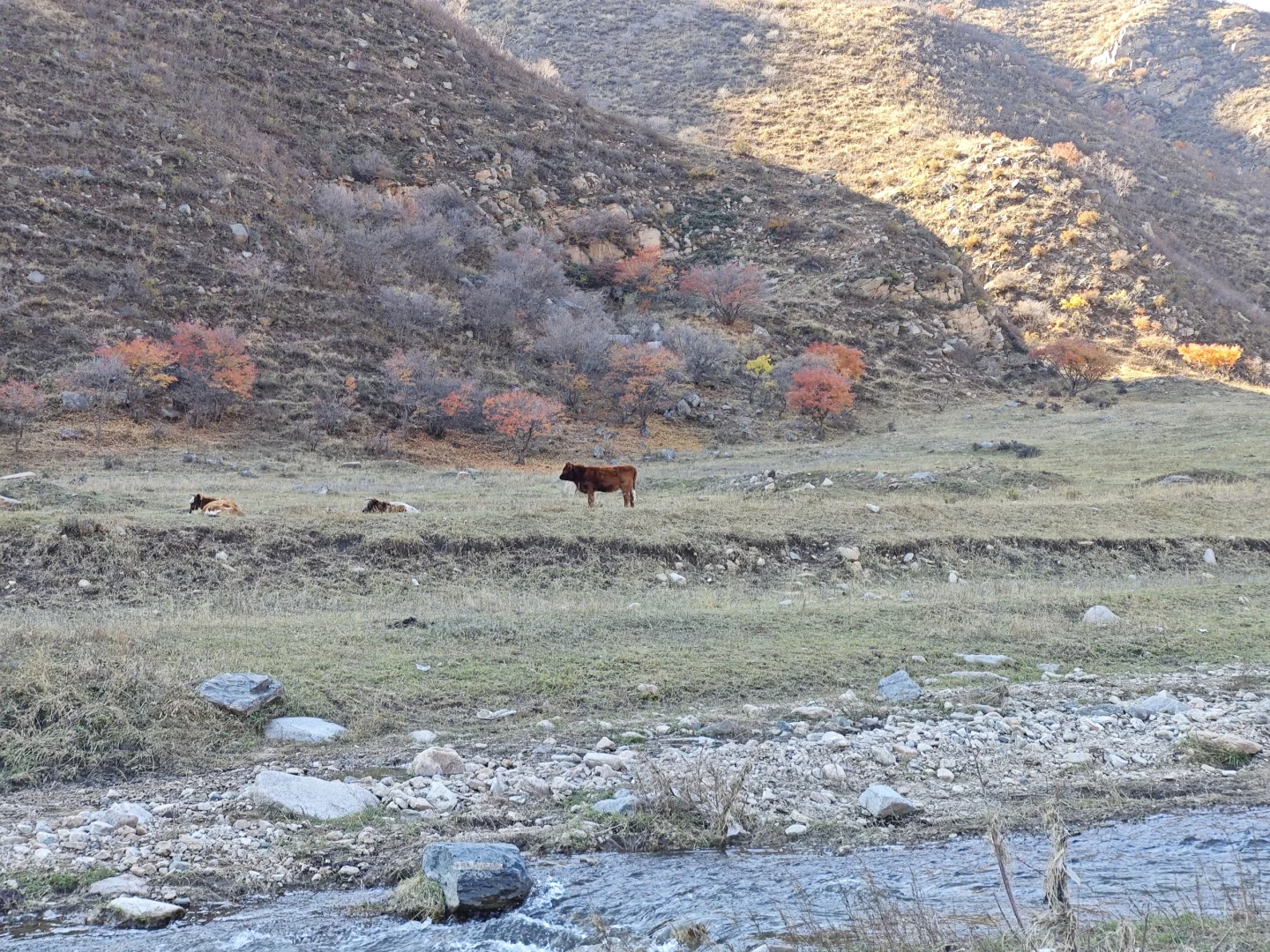 呼市周边赏秋这几个地方一定要去！！！