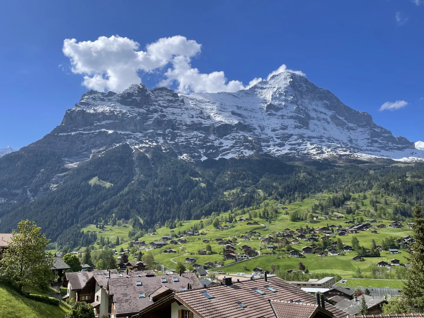 🇨🇭瑞士旅行必看|绝美景点+超实用攻略🌟