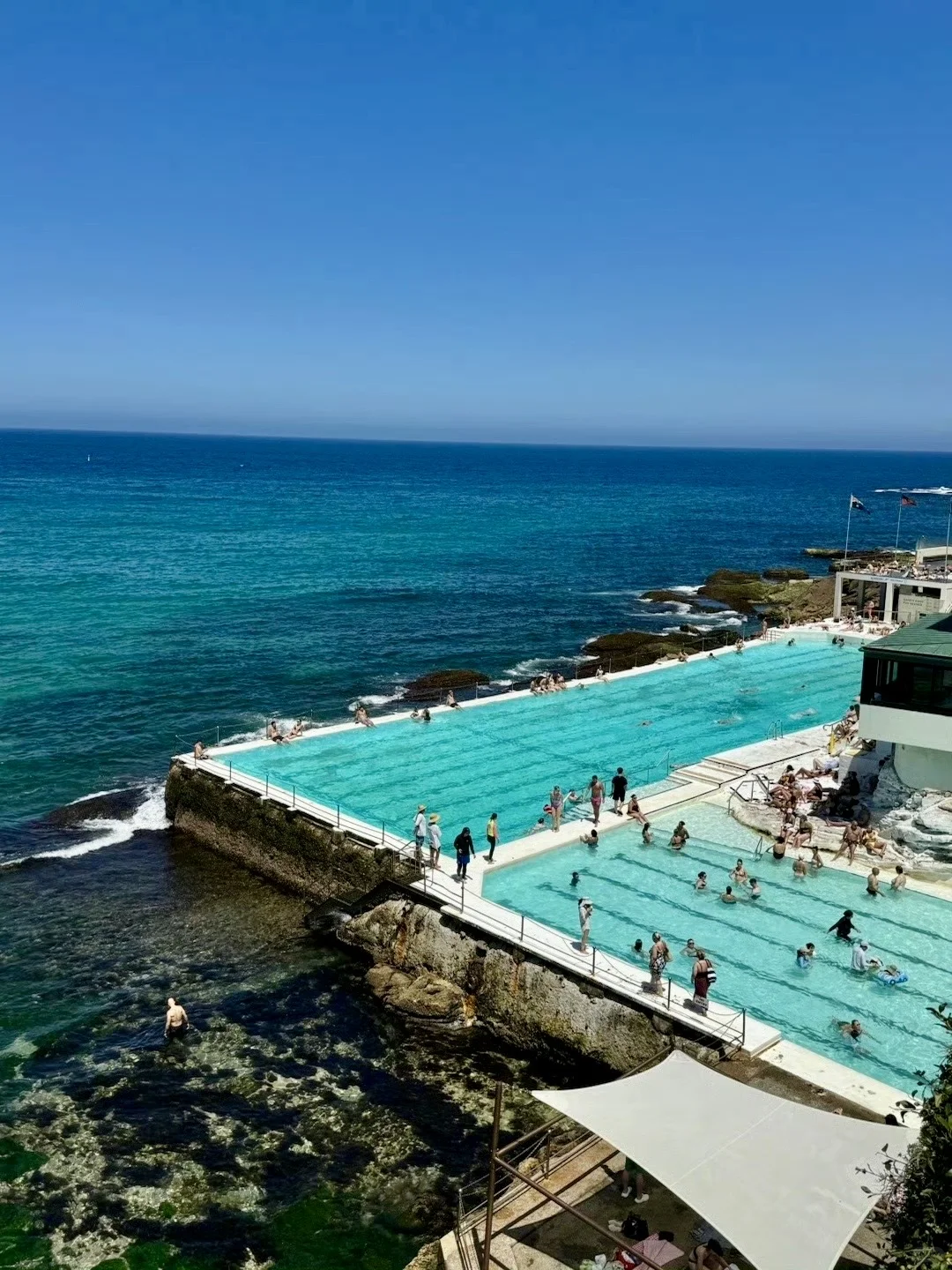 8-10月计划去澳洲的姐妹,能帮一个是一个😭