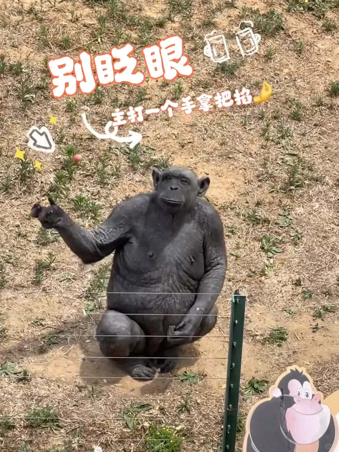 石家庄动物园｜这里开心就像呼吸一样简单‼️