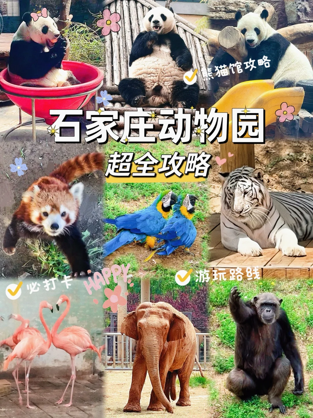 石家庄动物园｜这里开心就像呼吸一样简单‼️