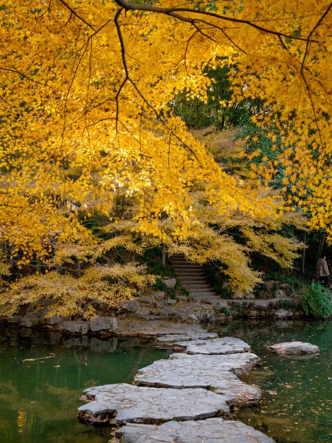 接下来几个月的杭州,将美到next level….