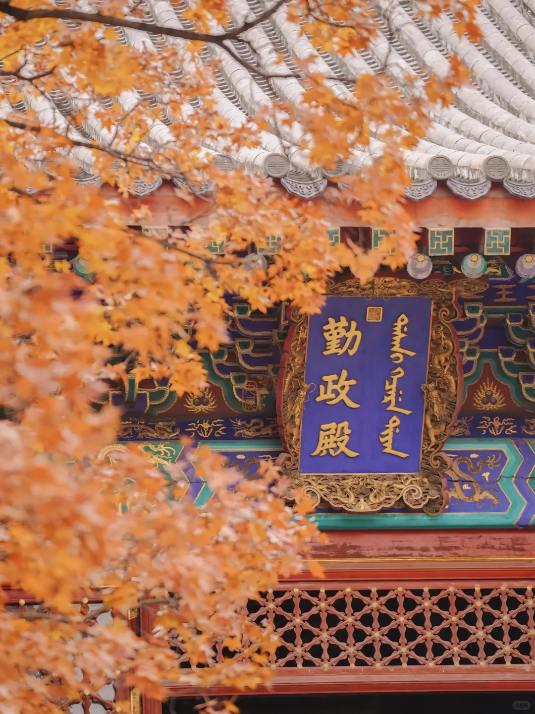当秋风起🍂北京就变成了北平(附打卡点)