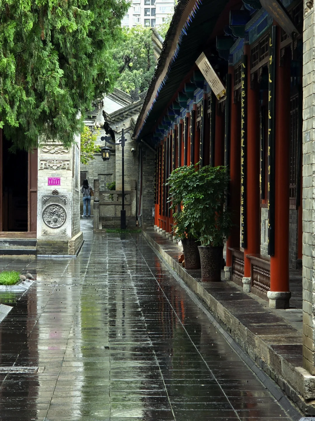🌿西安闹市区人少景美的八仙庵