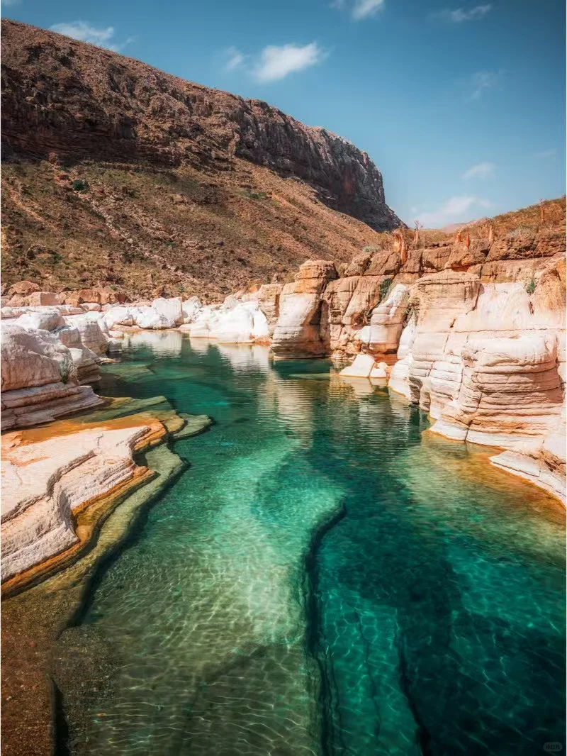 索科特拉群岛：地球上的外星世界