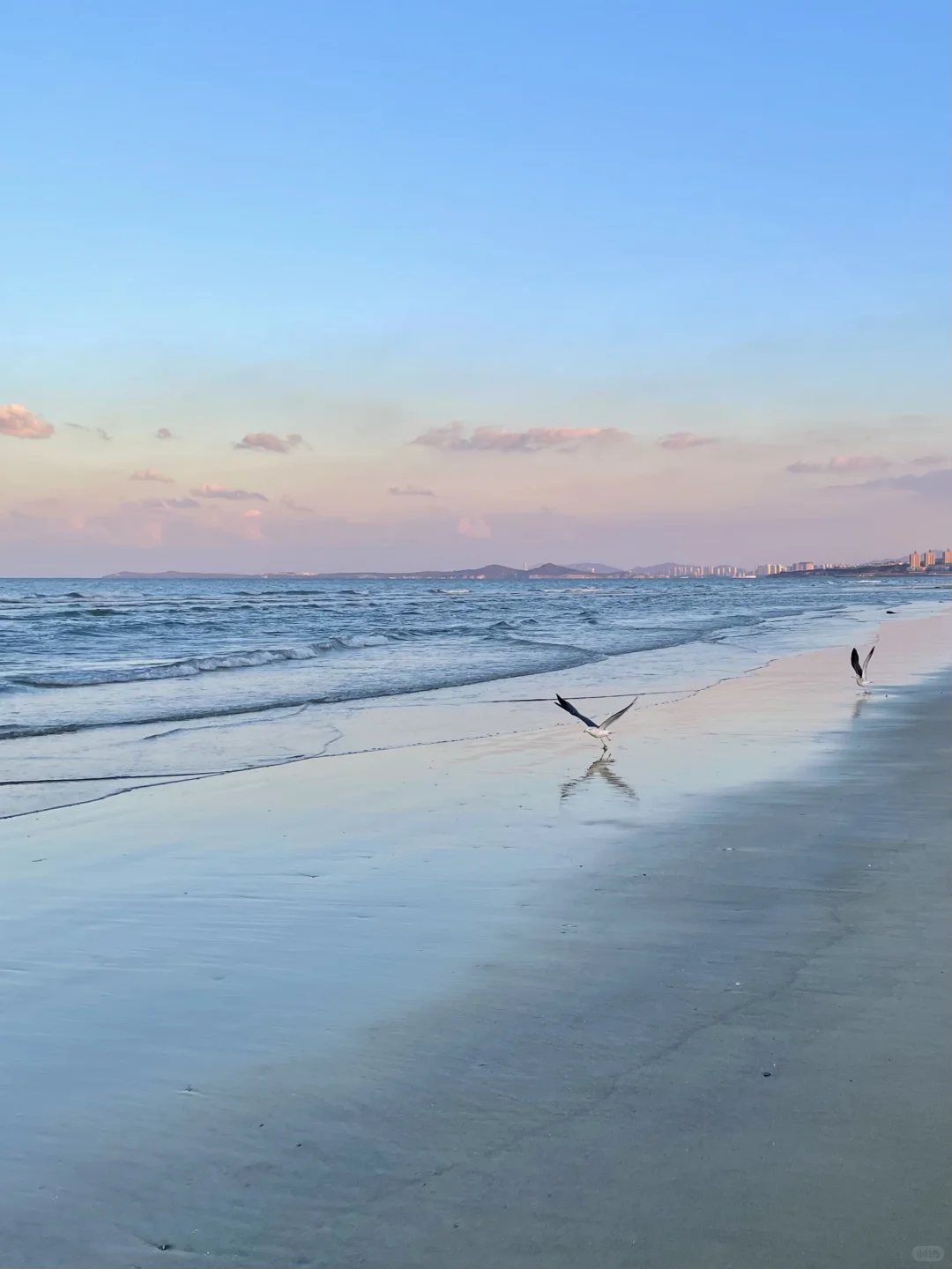 实话确实难听,但这就是烟台旅游现状…