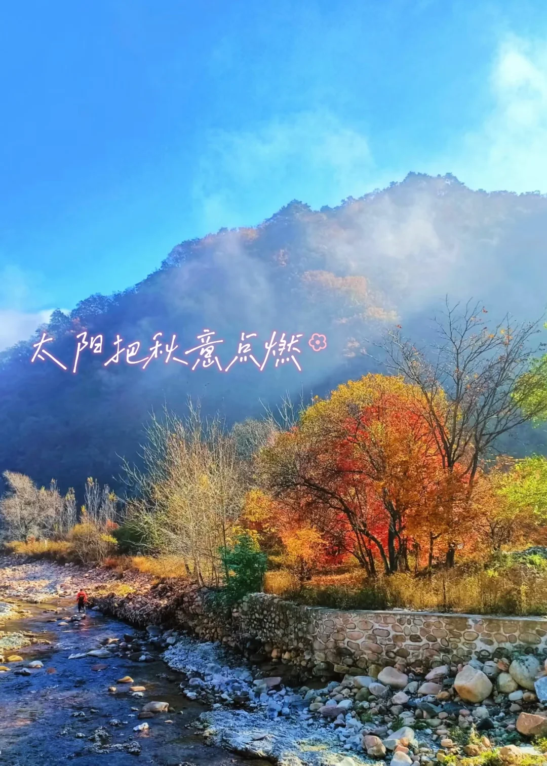 北京出发,这万山火红才是秋日绝色