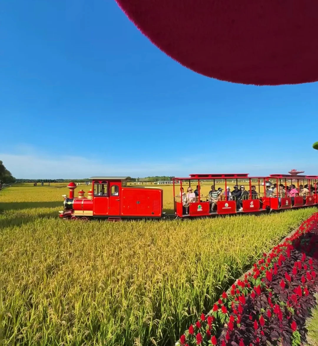 📍哈尔滨citywalk3天2晚超详细攻略📮