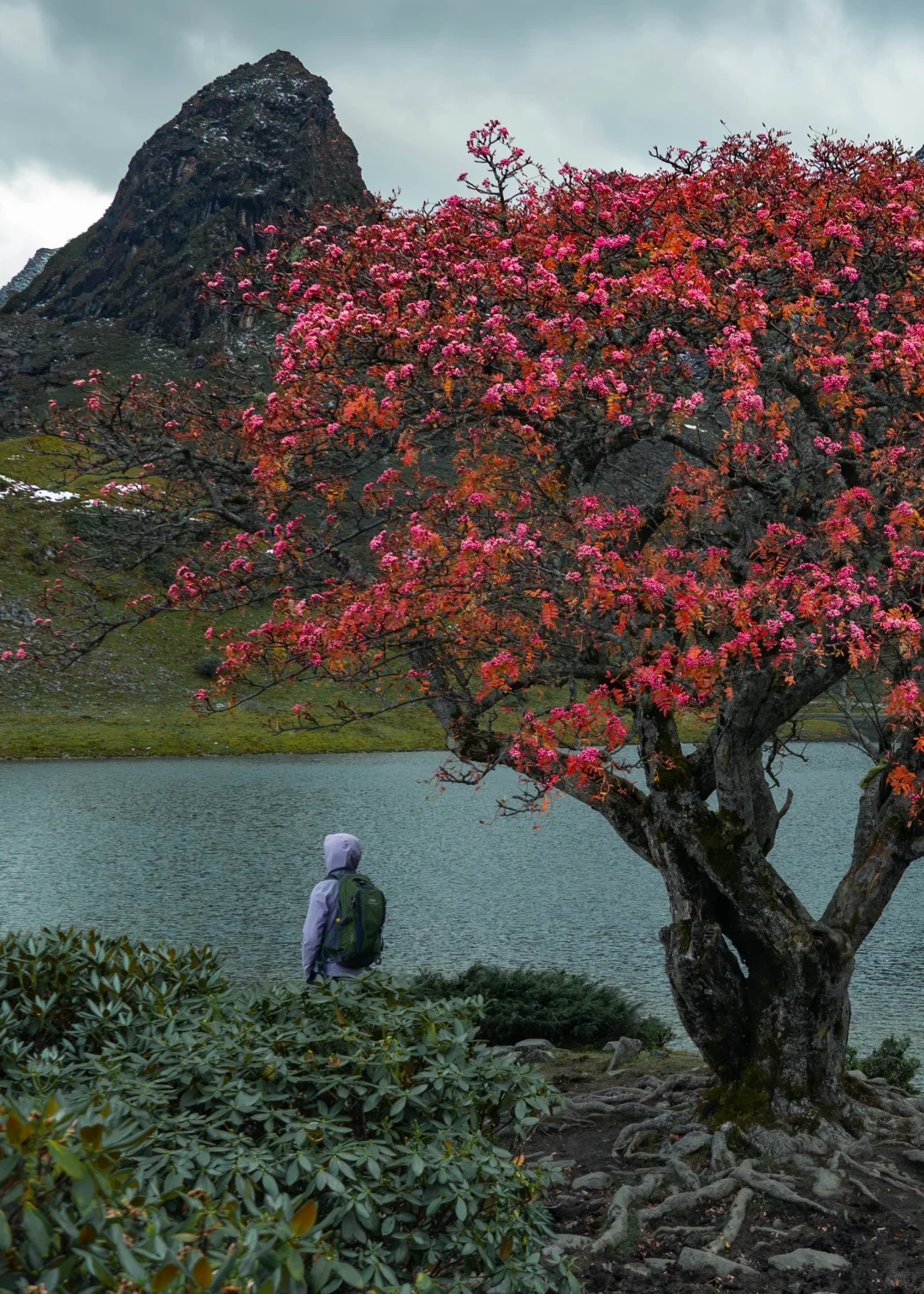 答应我，十月一定要去哈吧黑海