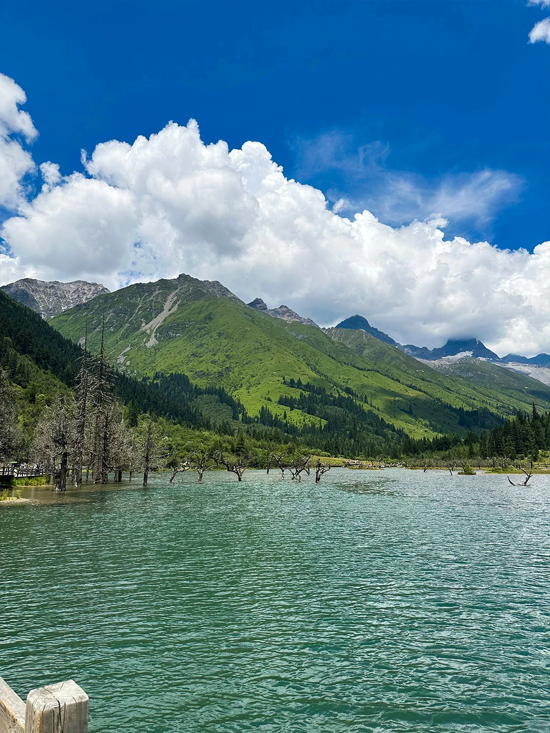 四姑娘山📍双桥沟，成都往返一日游仅178