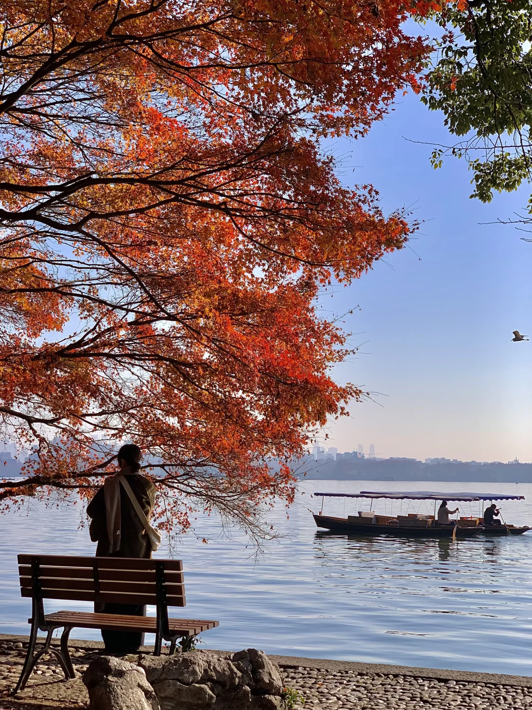 接下来的杭州…堪称秋日旅行天花板！（live版