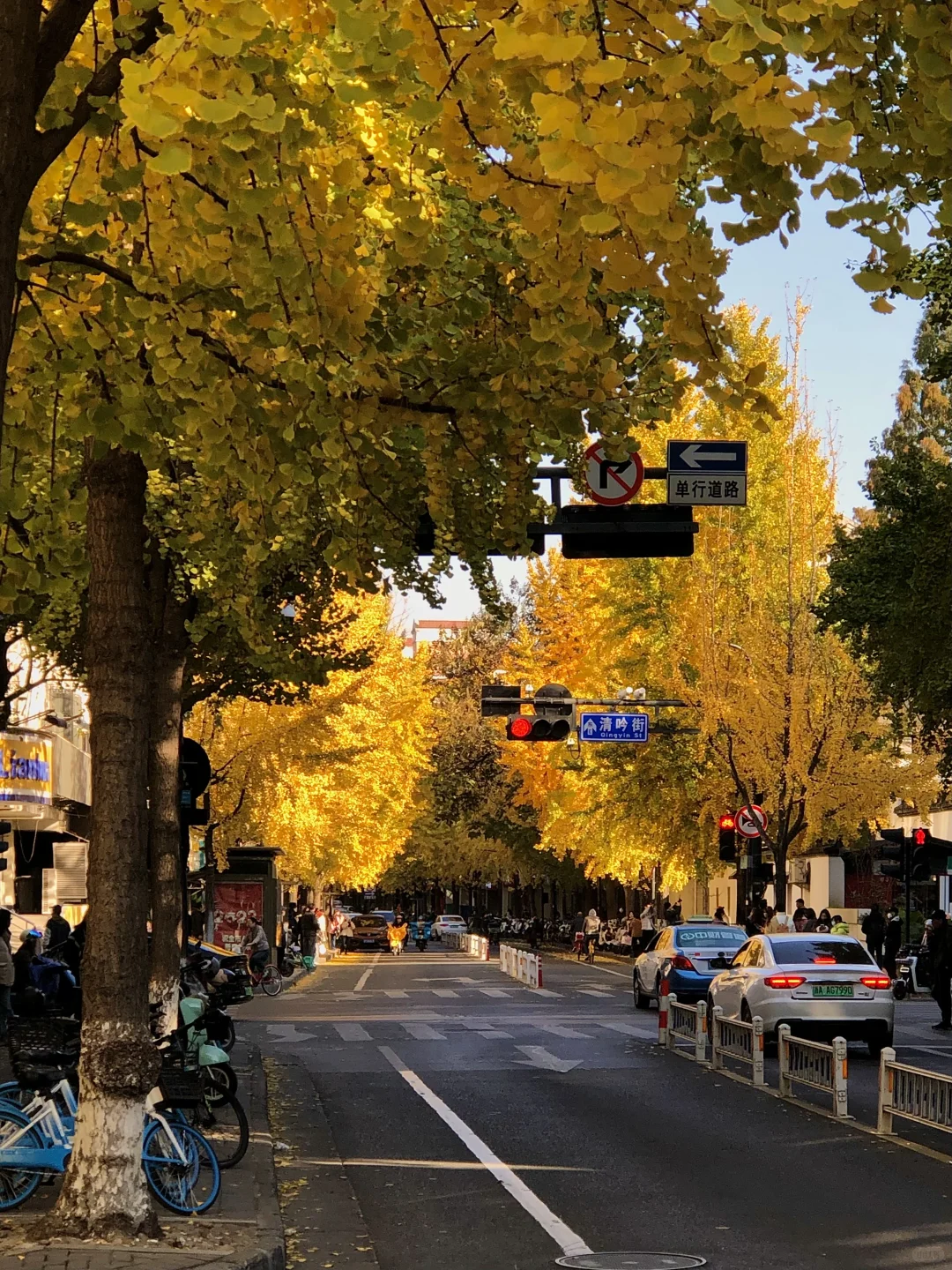 接下来的杭州…堪称秋日旅行天花板！（live版