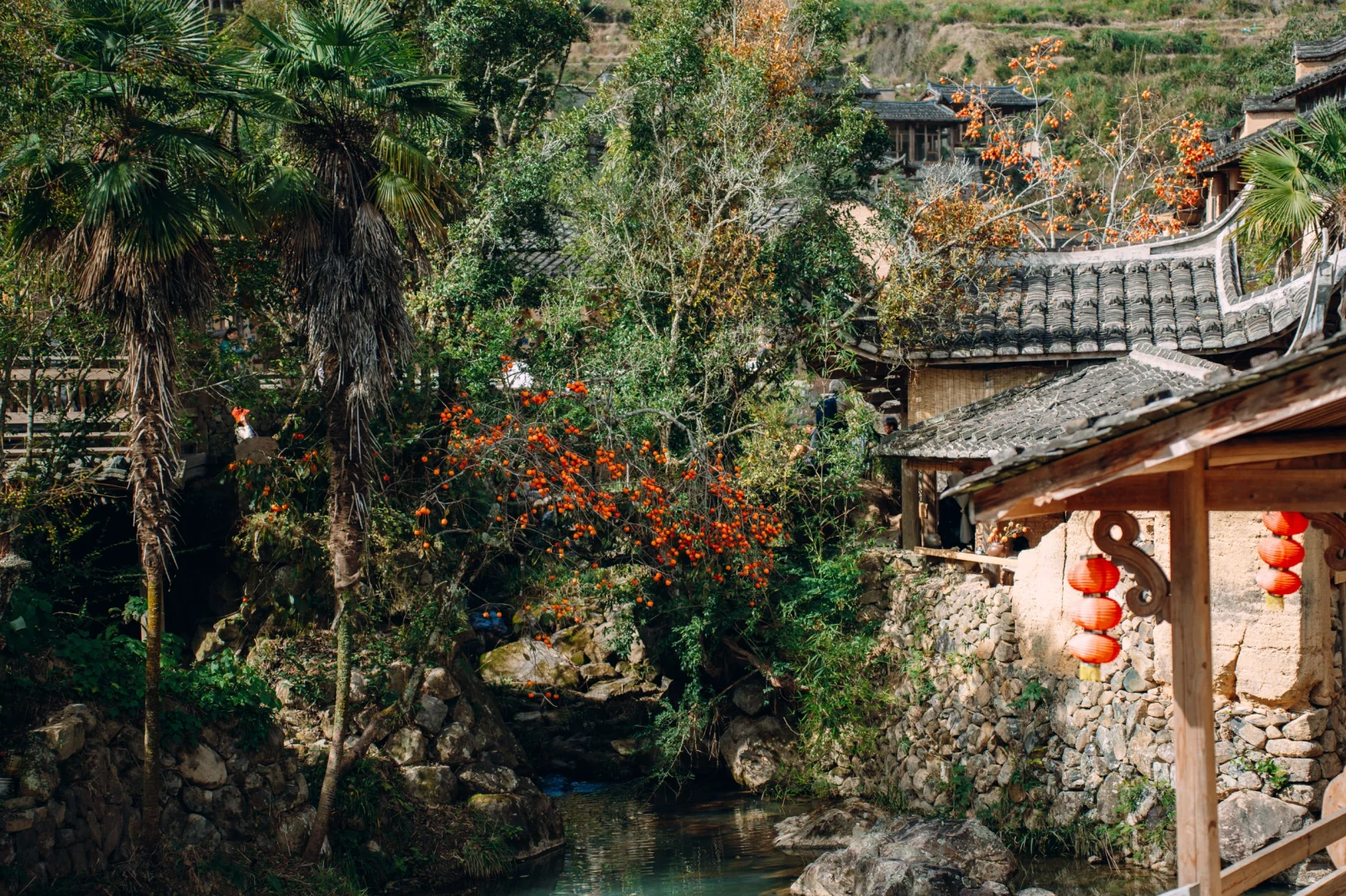 “接下来的屏南,堪称福建中式秋景天花板”