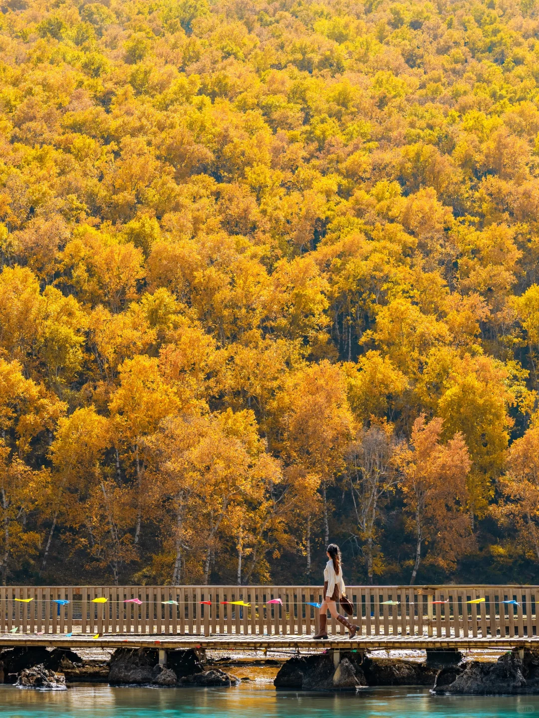 北京🚄2.5h❗️秋天必须去的宝藏秘境🍂