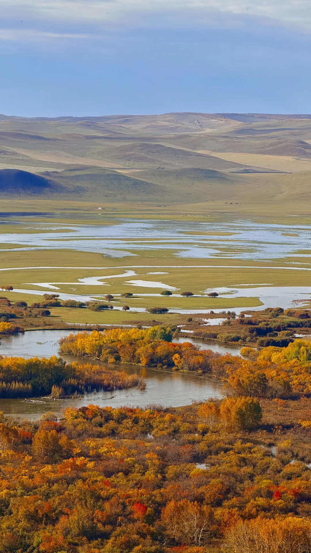 用18张live 打开大兴安岭的秋