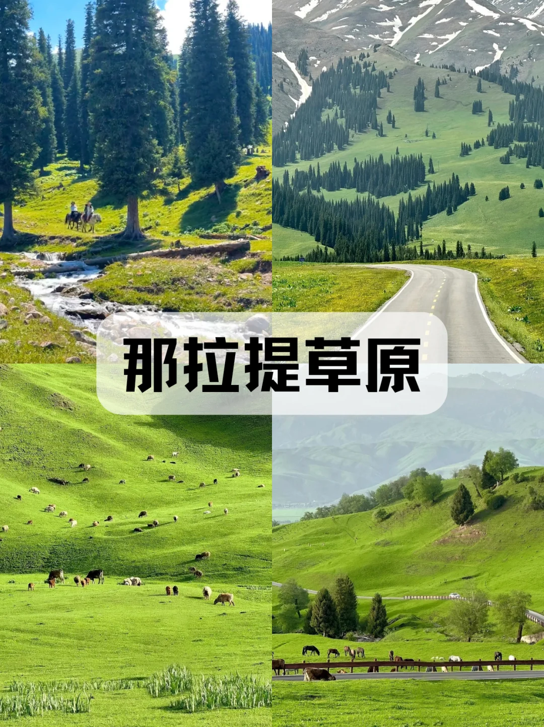🎈总要去趟新疆吧，赴一场和山川的约会